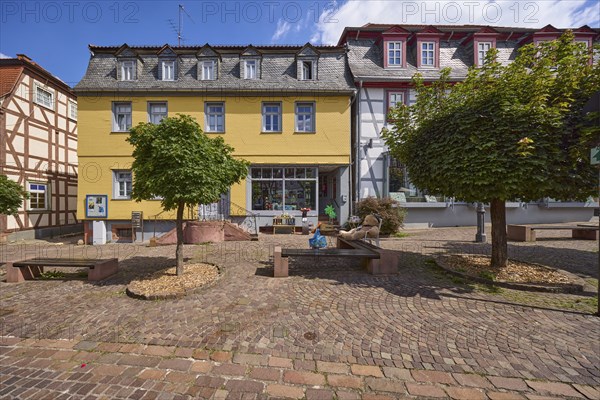 Historic buildings with trees on Braunstraße, city centre of Michelstadt, Odenwald, Odenwaldkreis,