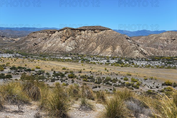 Mountainous hilly landscape with dry vegetation and a clear blue sky, Llano de Buho, Tabernas