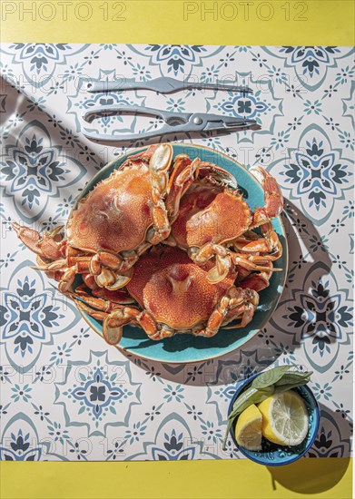 Food Photography, Cooked crab on blue plate, lemons, rose wine on table, sunlight immitation