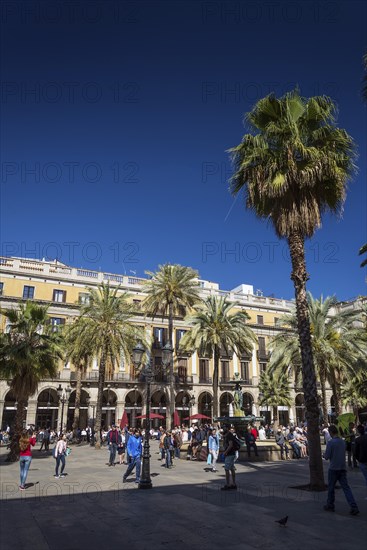 Plaza real square famous landmark in central barcelona las ramblas old town spain