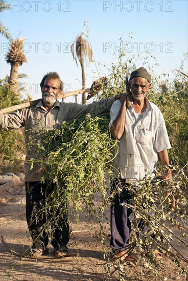 Persian farmers in garmeh oasis near yazd in iran