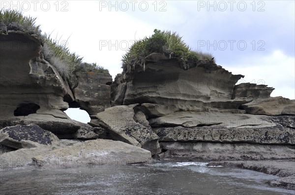Limestone erosion at the Truman Track, Paparoa National Park, West Coast, South Island, New