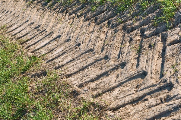 The trace of the tractor, dry soil in the field