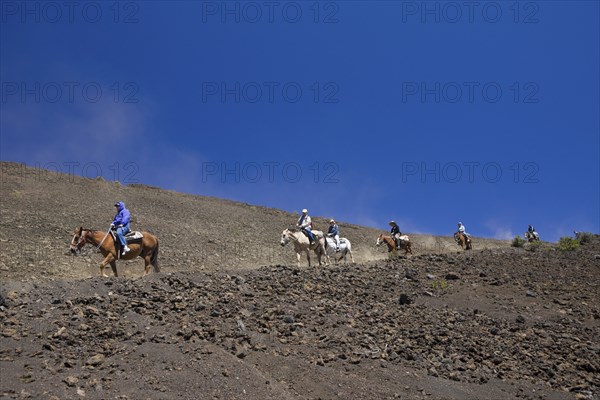Horseback riding in the crater of the Haleakala volcano, Maui, Hawaii, USA, North America