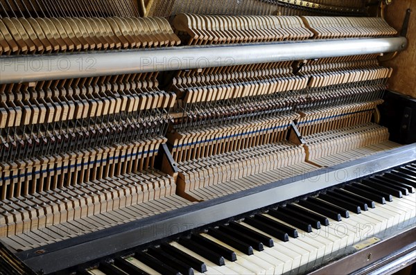 Inside the piano: string, pins, keys and hammers