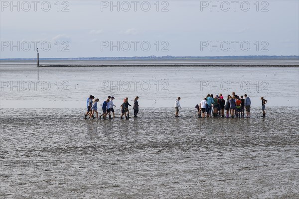 A group of pupils on a mudflat hike in the Wadden Sea National Park, low tide, Norddeich, Norden,