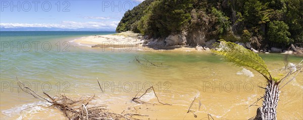 Abel Tasman Coast Track, Apple Tree Bay, Beach, Kaiteriteri, New Zealand, Oceania