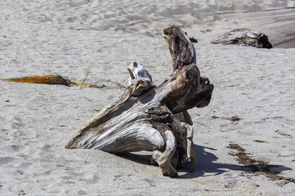 Ship Creek, Strand, Neuseeland