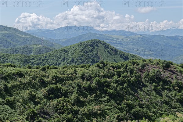 Wooded slopes in the southern Albanian mountain landscape on the western foothills of the Tomorr