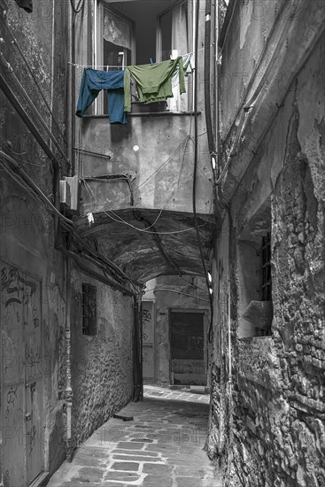 Hanging laundry in front of a window in an alley in the historic centre, Genoa, Italy, Europe