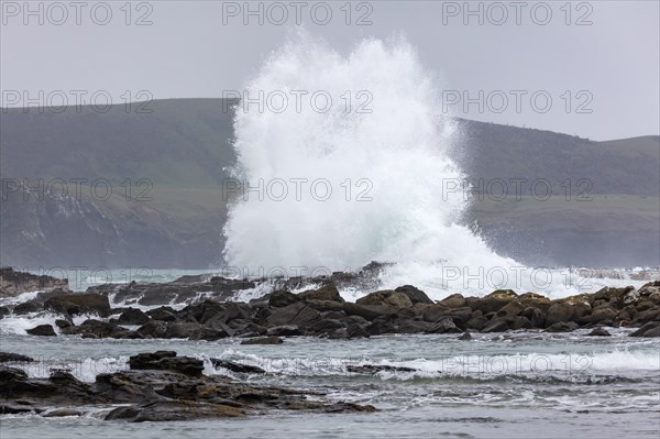 Waves, Curio Bay, Südland, Neuseeland