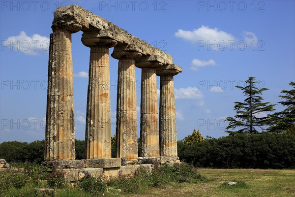 Metaponto, Metaponte, Doric hera temple, Tavole Palatine, Basilicata, Italy, Europe