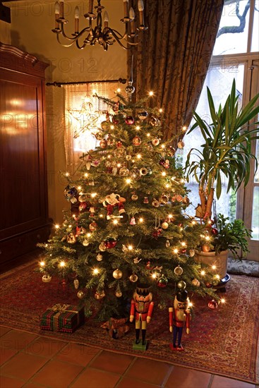 Europe, Germany, Christmas tree, Christmas tree in living room, Christmas, traditional tree