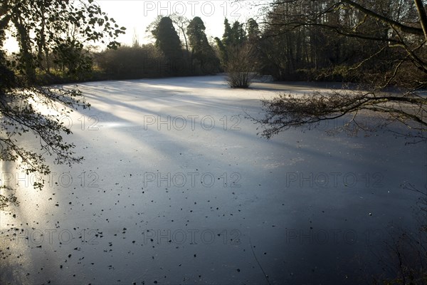 Frozen pond, Loam Ponds, Sutton, Suffolk, England, UK