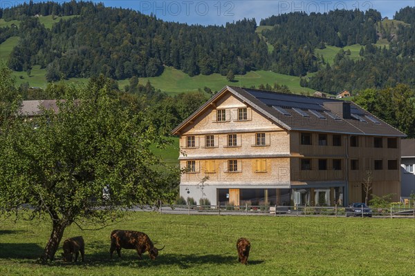 Schwarzenberg, Bregenz district, Bregenzerwald, newTimber house, architecture, Voralberg, Austria,
