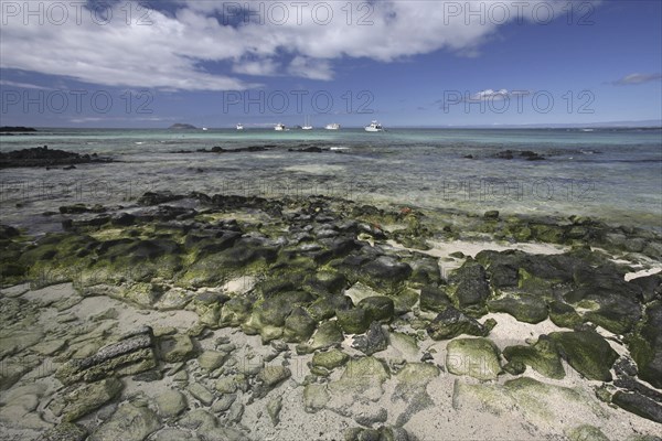 Motorboats and yachts in Las Bachas Bay on Santa Cruz island, Galápagos Islands, Ecuador, Latin