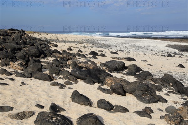 Beach of white sand, near Majanicho on north coast of Fuerteventura, Canary Islands, Spain, Europe