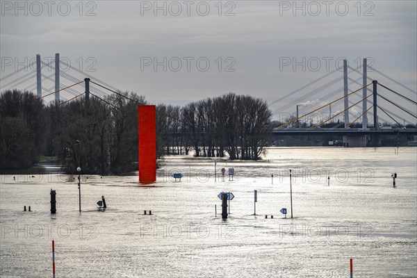 Flood on the Rhine near Duisburg, Rhine bridge Neuenkamp, old and new construction, landmark Rhine