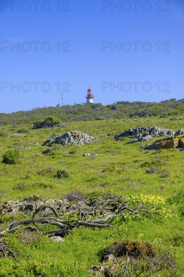 Robben Island, prison island near Cape Town, Cape Town, Western Cape, South Africa, Africa