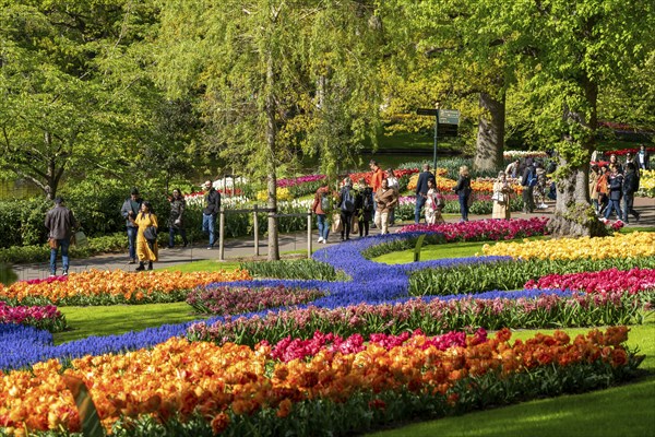 The Keukenhof, gardens, amusement park, spring park, spring flower show, near Lisse, South Holland,