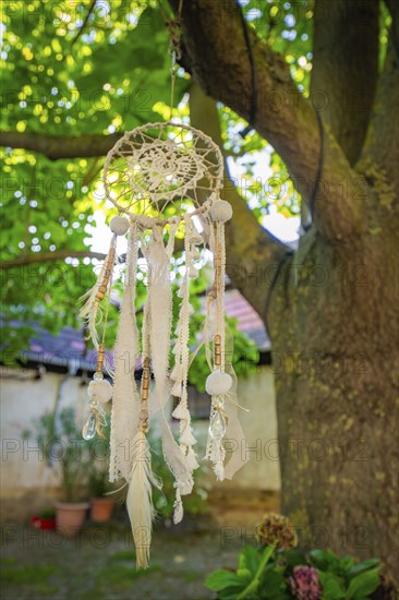 Close-up of a dreamcatcher hanging from a tree in an illuminated garden, Harz Mountains, Germany,