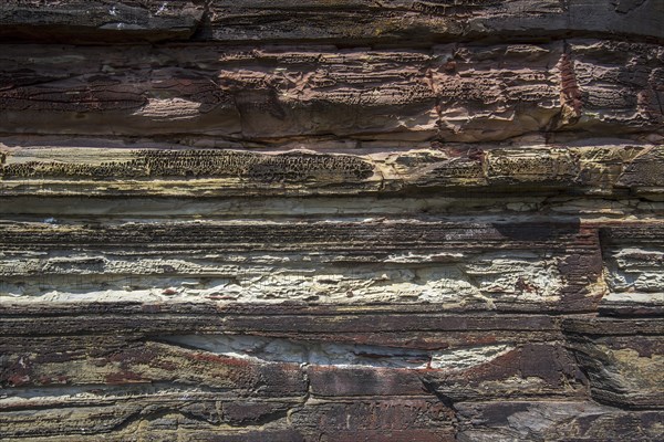 Close up of Devonian Old Red Sandstone in sea cliff at Duncansby Head near John o' Groats,