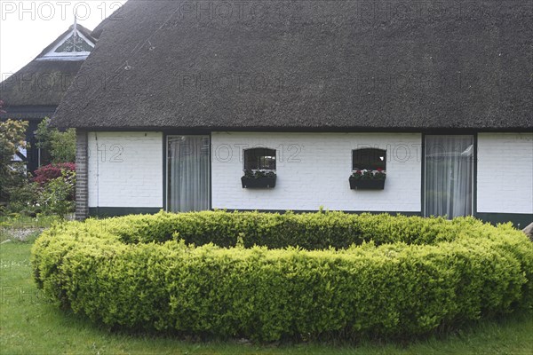 NL, Eesergroen: Spring characterises the landscape, towns and people in the province of Drenthe in
