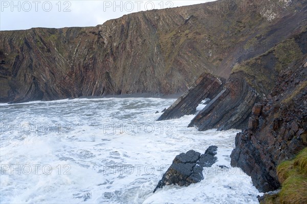 Complex folding of sedimentary rock strata in coastal cliffs at Hartland Quay, north Devon,