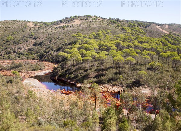 Blood red mineral laden water Rio Tinto river Minas de Riotinto mining area, Huelva province,