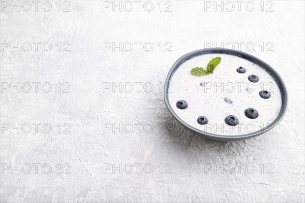 Yogurt with blueberry in ceramic bowl on gray concrete background. Side view, copy space, close up