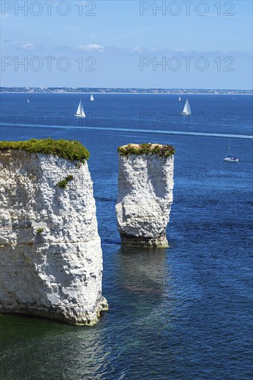 White Cliffs of Old Harry Rocks Jurassic Coast, Dorset Coast, Poole, England, United Kingdom,