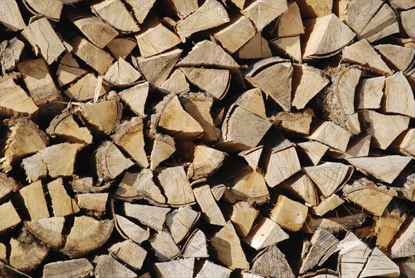 Firewood, firewood, stack, Vienna, Austria, Europe
