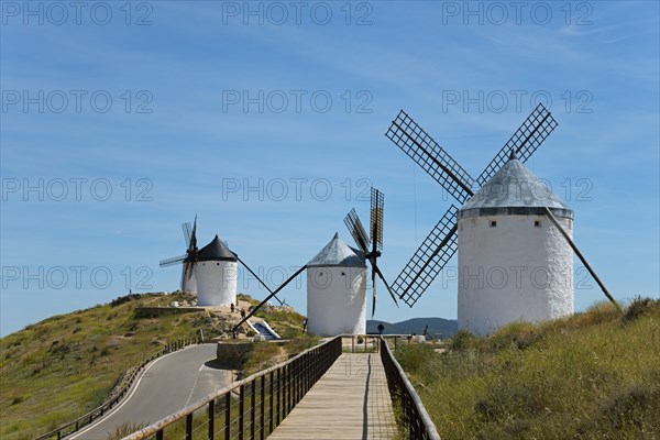 Wooden walkway leads to three white windmills on a green hill under a clear blue sky, Consuegra,