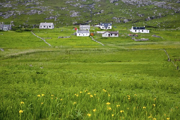 Landscape of countryside and croft houses in the rural settlement of Baile na Creige, Borgh, Barra,