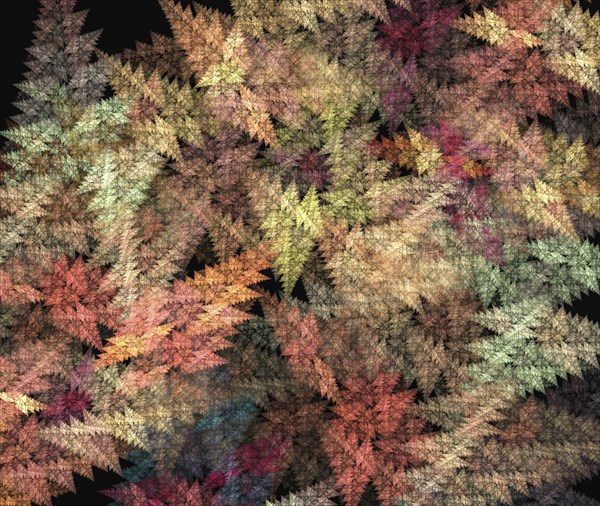 Abstract fractal background on the black, computer generated graphics