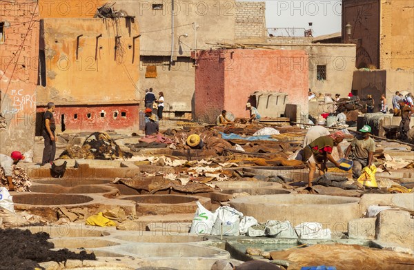 Traditional tannery with dyeing vats for animal skins, Marrakech, Morocco, Africa