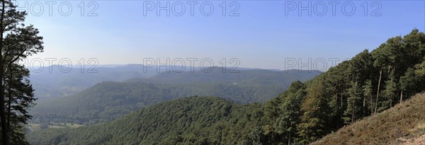 View of the Rhine plain from the summit plateau of the Orensberg (southern Wine Route)