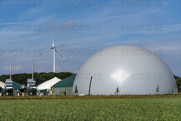 Biogas plant, combined heat and power plants, for power generation, dome-shaped gas storage, wind
