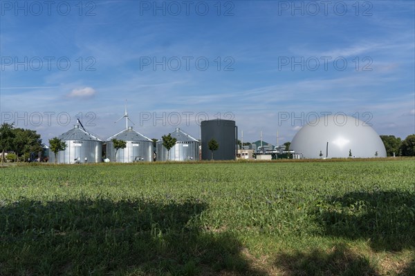 Biogas plant, storage silos, large buffer tank for hot water for intermediate energy storage,
