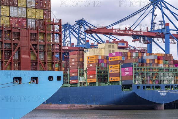 Magleby Maersk container freighter at EUROGATE Container Terminal, Waltershofer Hafen, one of the