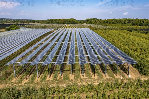 Agri-photovoltaic test plant, an apple orchard with two different systems of PV modules was roofed