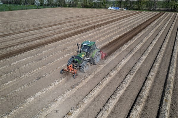 A farmer builds asparagus ridges on a field with the help of an asparagus tiller, in which the