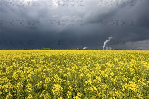 Neurath lignite-fired power station, near Grevenbroich, RWE Power AG, storm clouds over the Rhenish