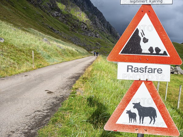 Mountain road from Haukland beach to Uttakleiv, warning signs, no public traffic, be aware of sheep
