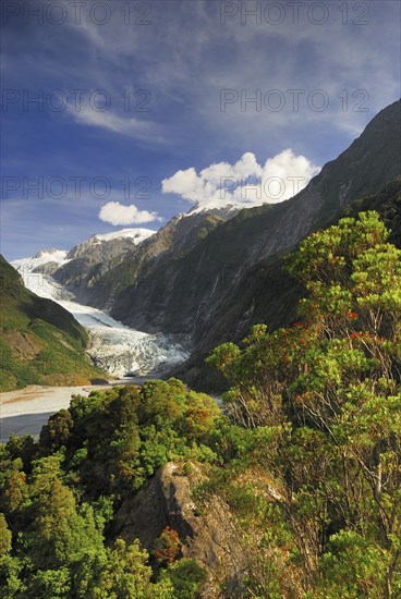 View from Sentinel Rock to Franz Josef Glacier, Westland National Park, South West New Zealand