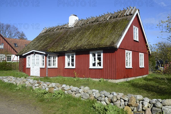 Red thatched cottage in Knäbäckshusen, a small fishing village near Rörum, Simrishamn municipality,