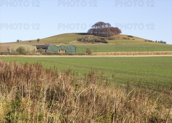 Chalk landscape in winter, Woodborough Hill, Wiltshire, England, UK