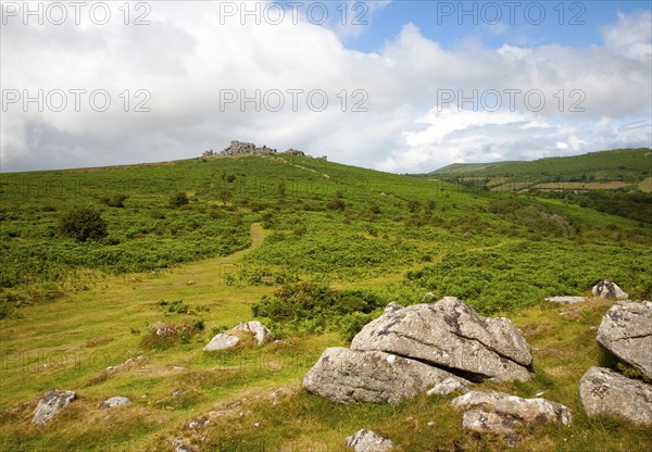 Granite upland landscape Hound Tor, Dartmoor national park, Devon, England, UK