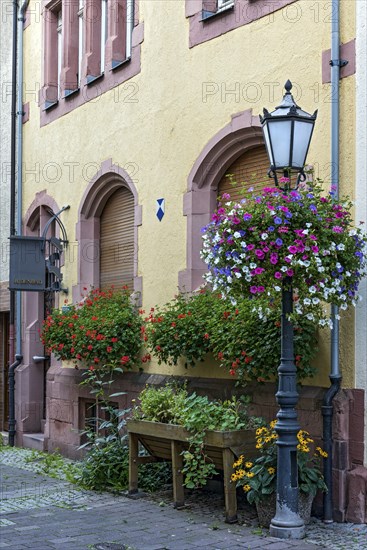 Jewish bath, historic medieval mikvah, facade, alleyway lamp decorated with flowers, Judengasse,