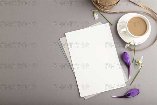 White paper sheet mockup with spring snowdrop crocus and galanthus flowers and cup of coffee on